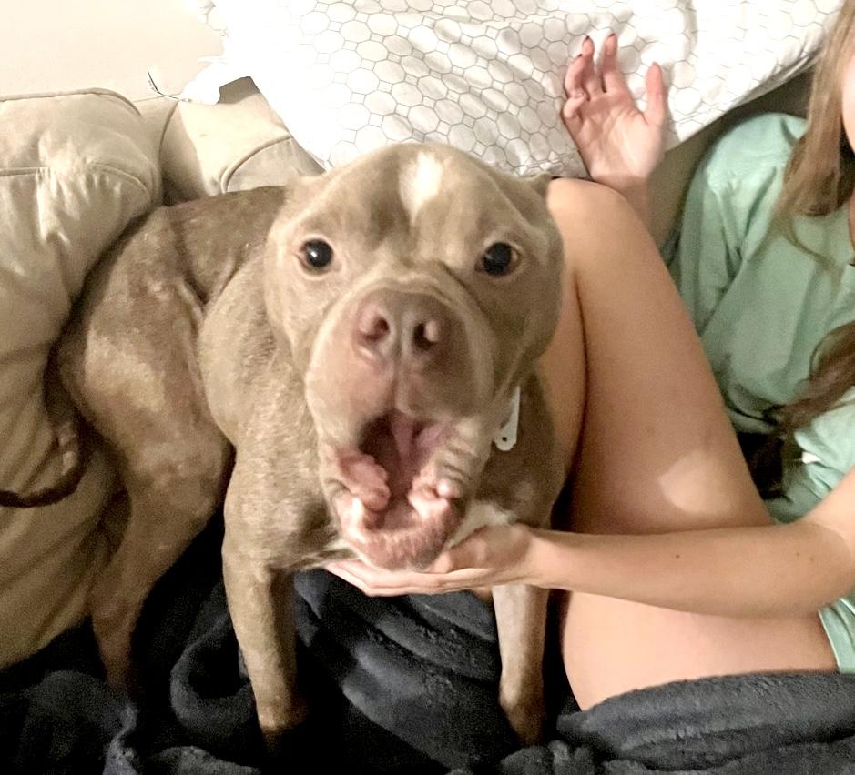 A photo of Peanut Pittie Butter
