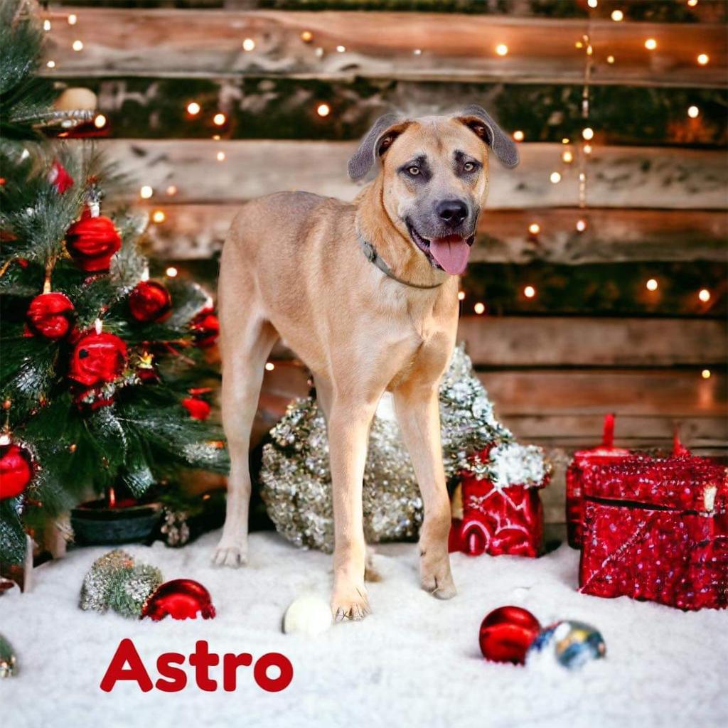A photo of Astro