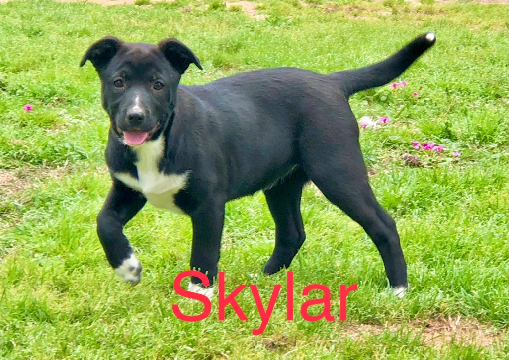 A photo of Skylar