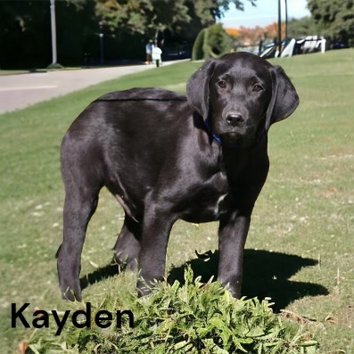 A photo of Kaden